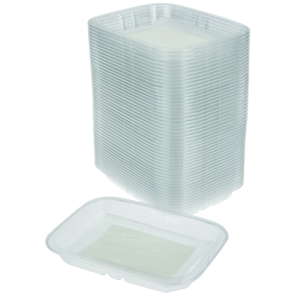 Clear PET food tray container